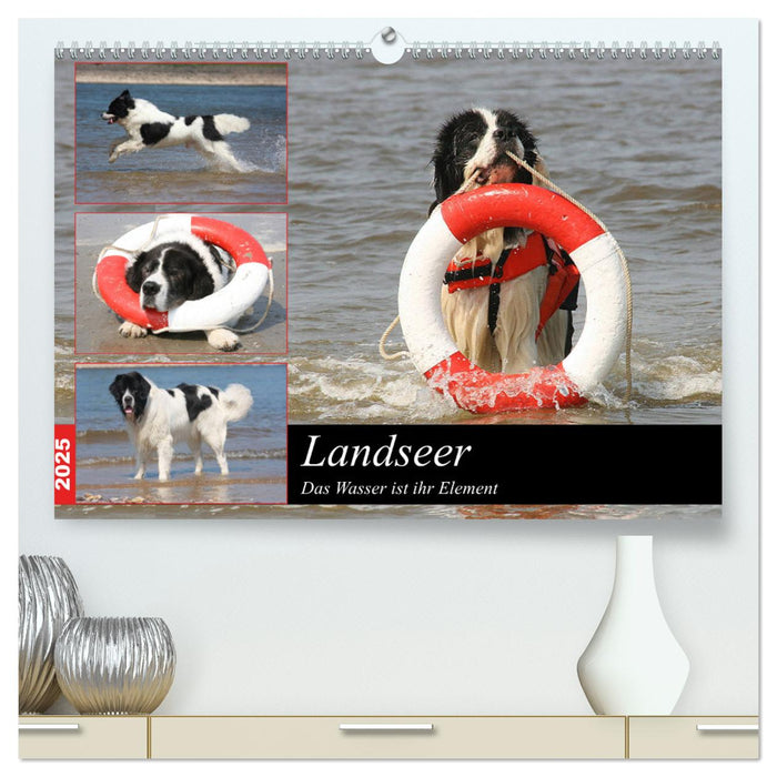 Landseer - Das Wasser ist ihr Element (CALVENDO Premium Wandkalender 2025)