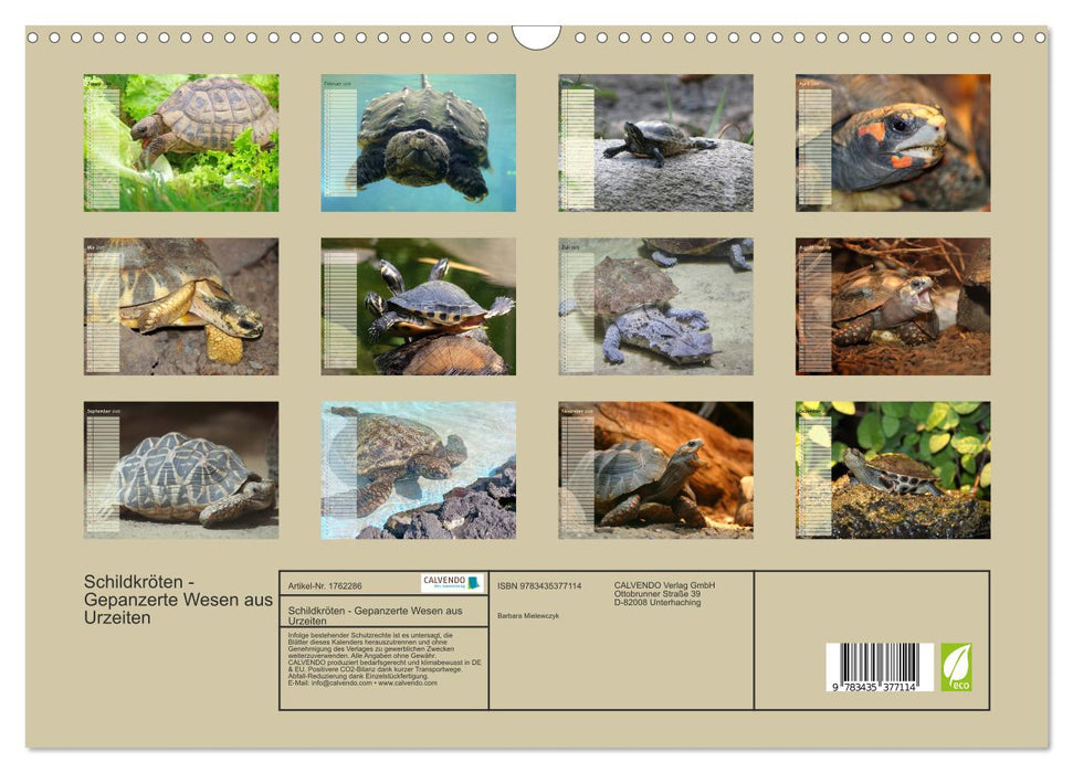 Schildkröten - Gepanzerte Wesen aus Urzeiten (CALVENDO Wandkalender 2025)