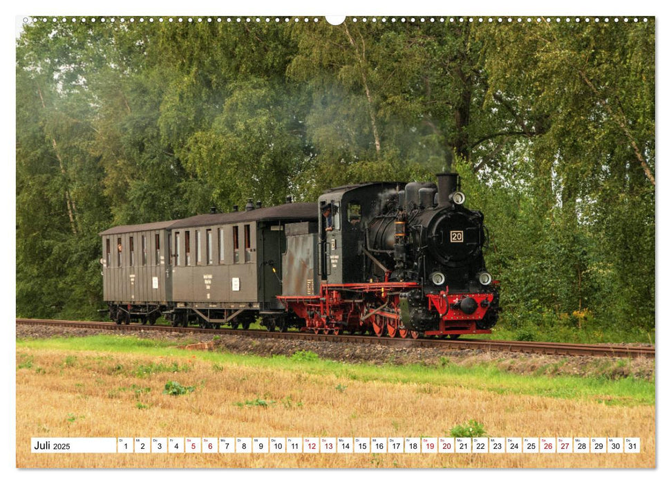 Mansfelder Bergwerksbahn (CALVENDO Premium Wandkalender 2025)