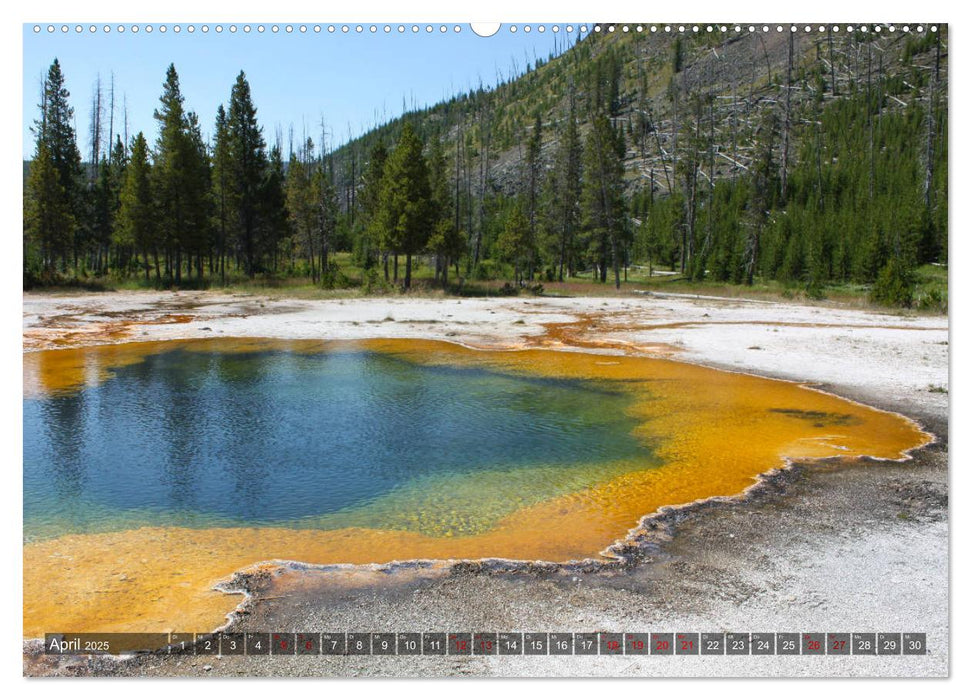 Farben des Yellowstone National Park 2025 (CALVENDO Premium Wandkalender 2025)