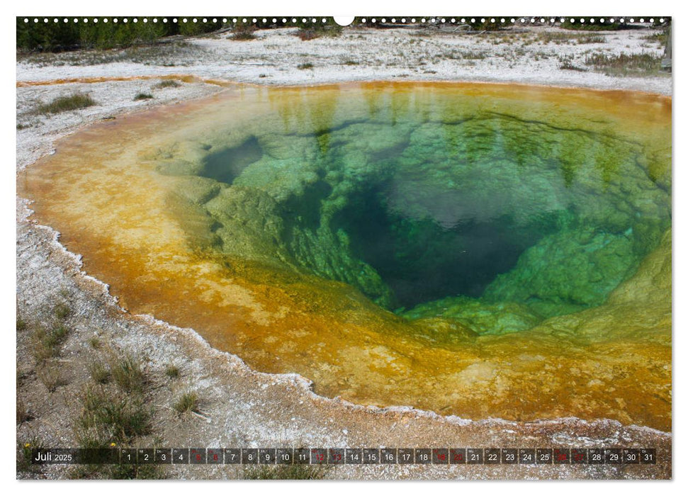 Farben des Yellowstone National Park 2025 (CALVENDO Premium Wandkalender 2025)