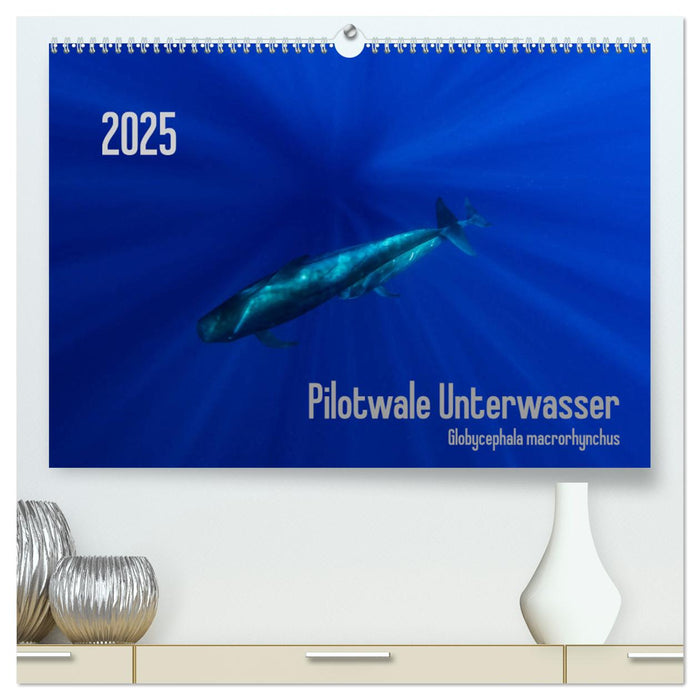 Pilotwale Unterwasser - Globicephala macrorhynchus (CALVENDO Premium Wandkalender 2025)