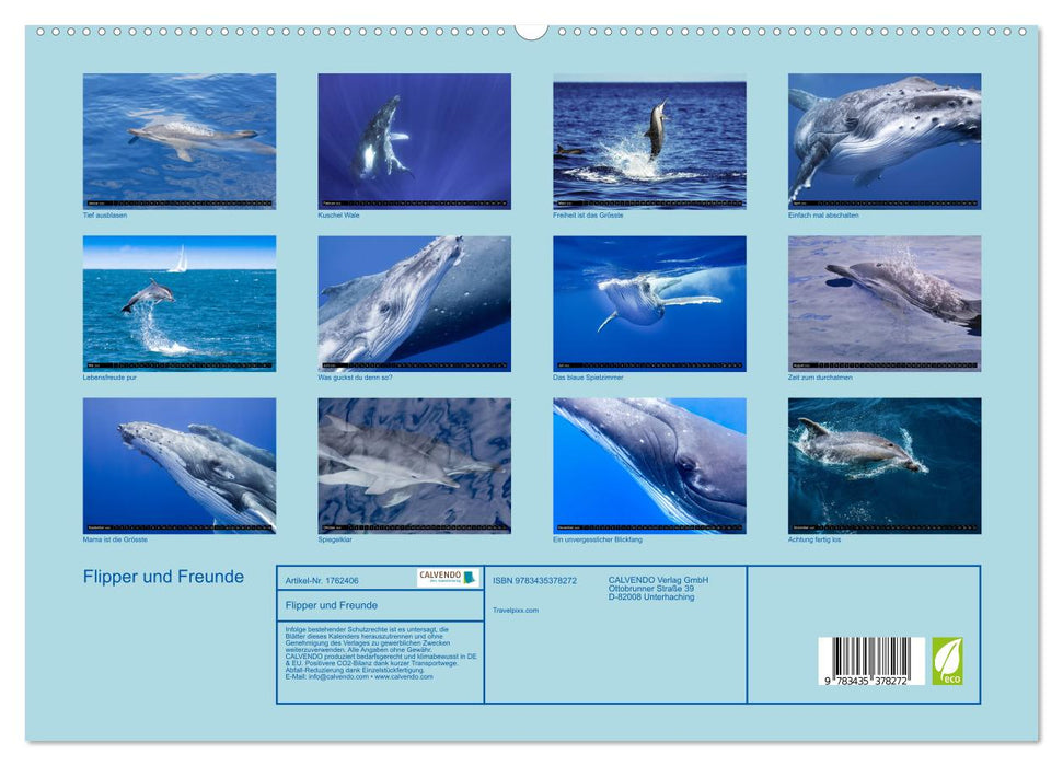 Flipper und Freunde (CALVENDO Premium Wandkalender 2025)