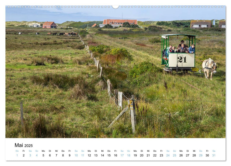 Lieblingsinsel Spiekeroog (CALVENDO Wandkalender 2025)