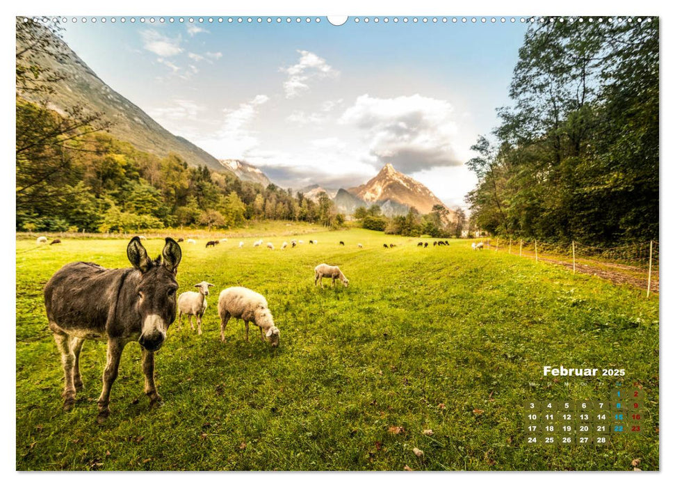 Bovec. Berge - Wälder - Bäche (CALVENDO Wandkalender 2025)