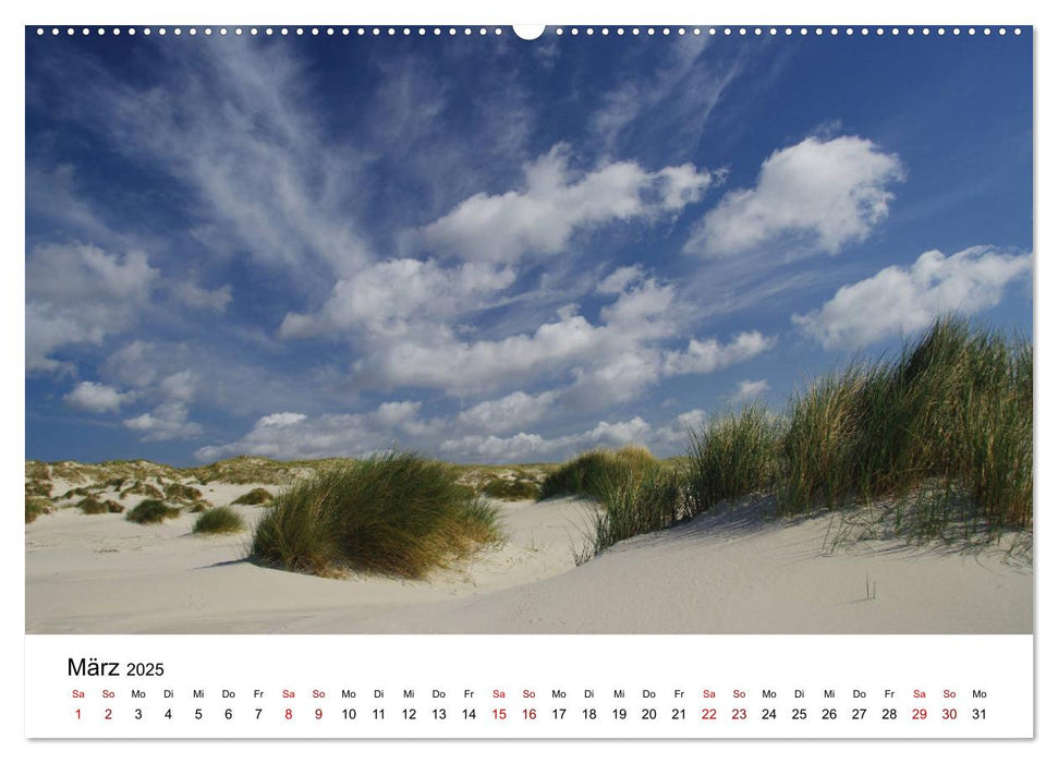 Insel Amrum - Ein Juwel unterm norddeutschen Himmel (CALVENDO Premium Wandkalender 2025)