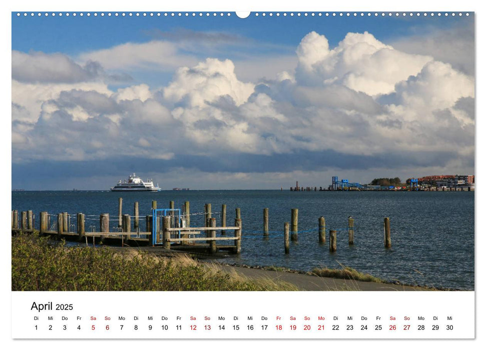 Insel Amrum - Ein Juwel unterm norddeutschen Himmel (CALVENDO Premium Wandkalender 2025)