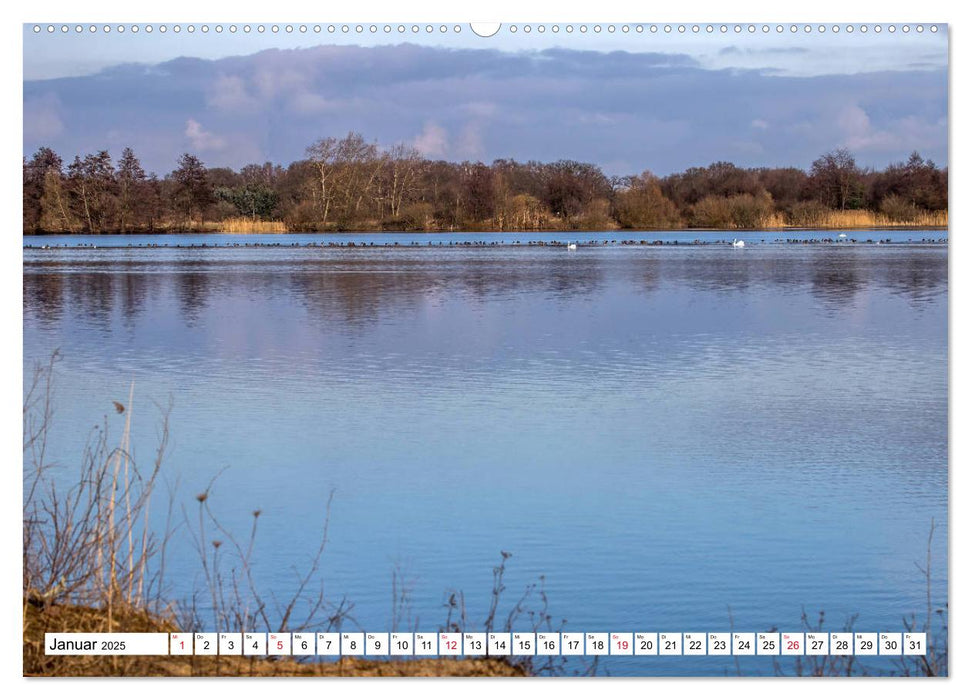 Langenhagen erleben (CALVENDO Premium Wandkalender 2025)