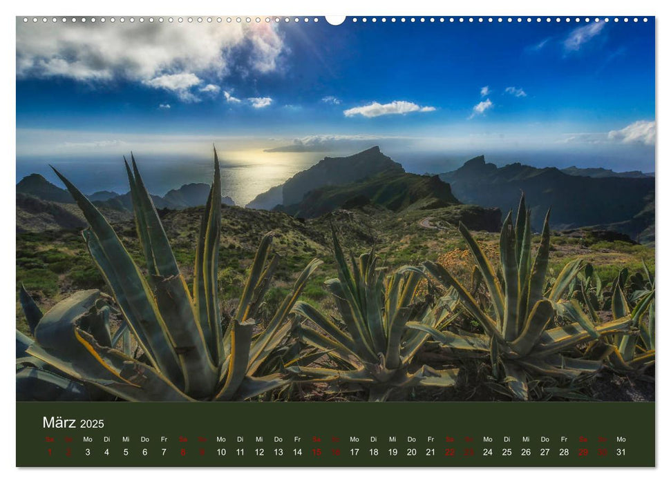 Bezauberndes Teneriffa (CALVENDO Premium Wandkalender 2025)