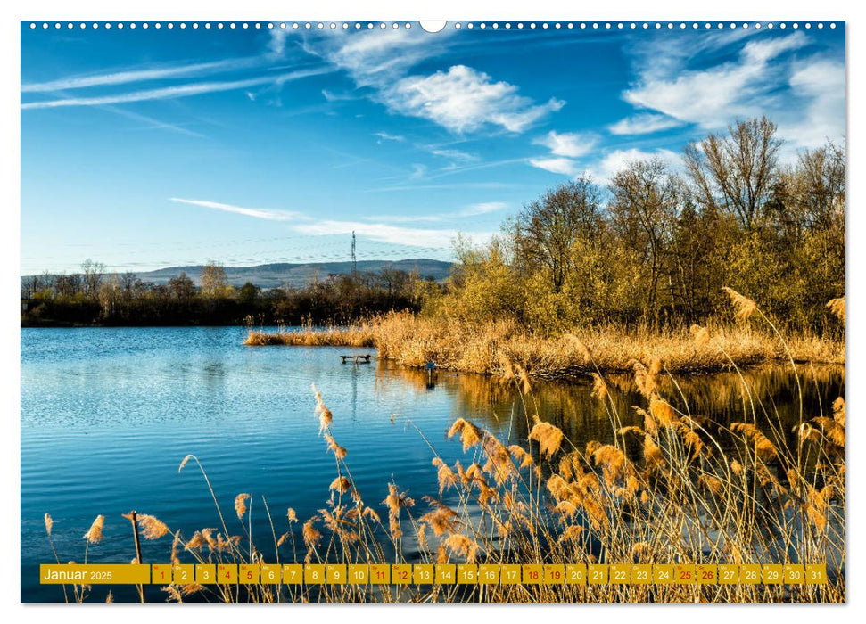 Rheinhessen-Impressionen (CALVENDO Premium Wandkalender 2025)