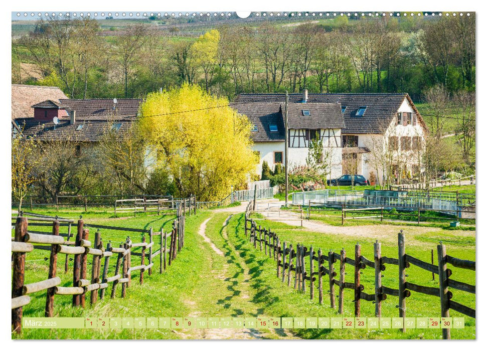 Rheinhessen-Impressionen (CALVENDO Premium Wandkalender 2025)