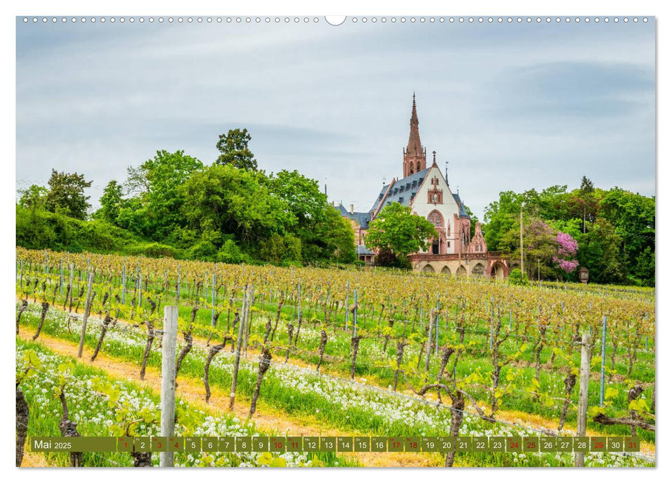 Rheinhessen-Impressionen (CALVENDO Premium Wandkalender 2025)