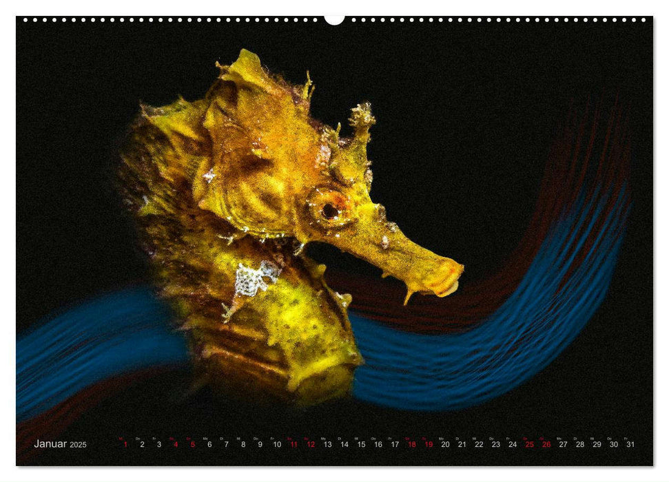 Artwork Unterwasser - Erlebnis Tauchen (CALVENDO Wandkalender 2025)