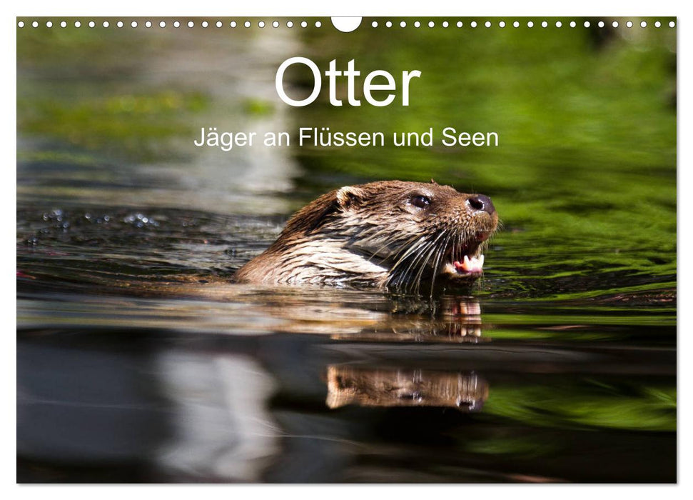 Otter - Jäger an Flüssen und Seen (CALVENDO Wandkalender 2025)