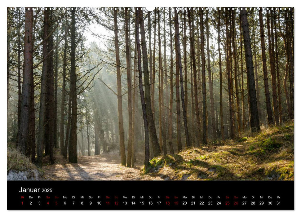 Polen - Reise durch unser schönes Nachbarland (CALVENDO Premium Wandkalender 2025)