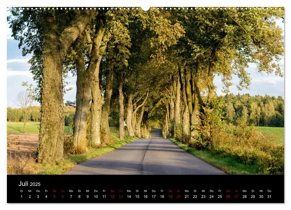 Polen - Reise durch unser schönes Nachbarland (CALVENDO Premium Wandkalender 2025)