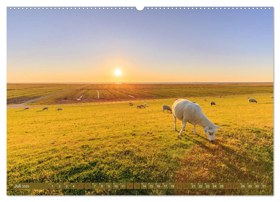 Einmaliges Westerhever (CALVENDO Premium Wandkalender 2025)