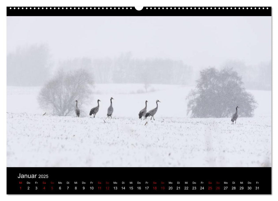 Naturwunder Norddeutschlands (CALVENDO Premium Wandkalender 2025)