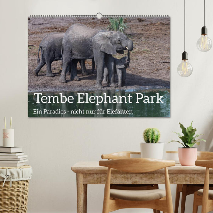 Tembe Elephant Park. Ein Paradies - nicht nur für Elefanten (CALVENDO Wandkalender 2025)