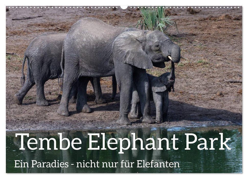 Tembe Elephant Park. Ein Paradies - nicht nur für Elefanten (CALVENDO Wandkalender 2025)