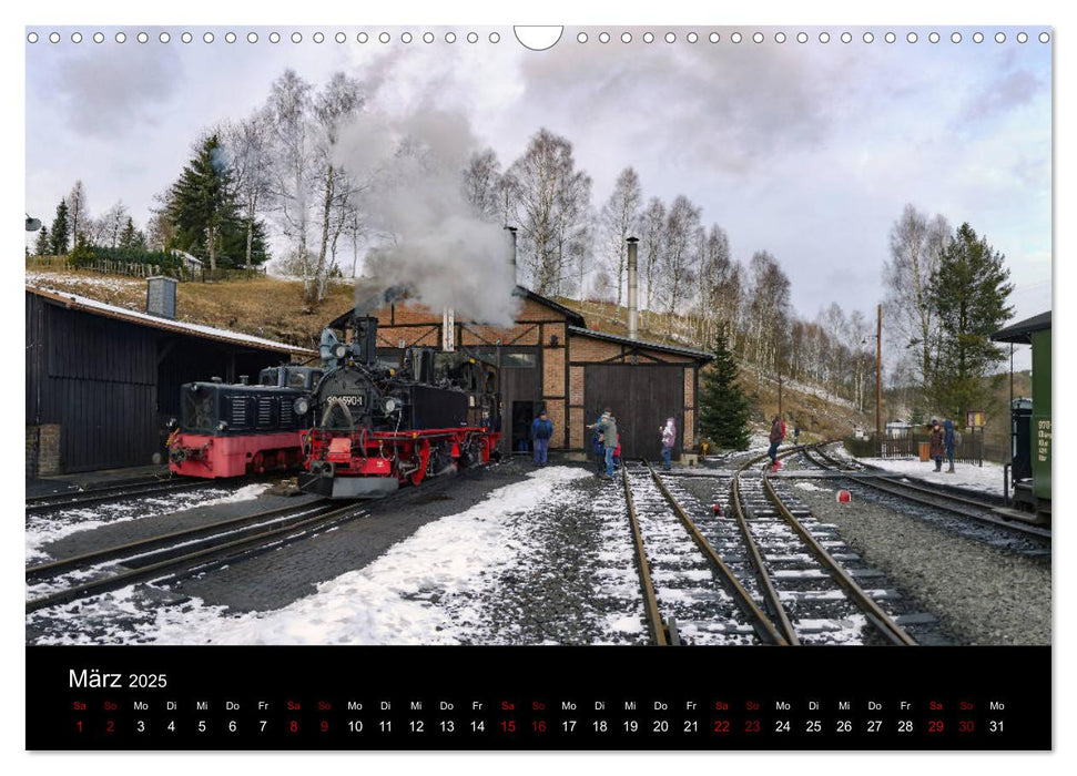 Dampf im Pressnitztal (CALVENDO Wandkalender 2025)