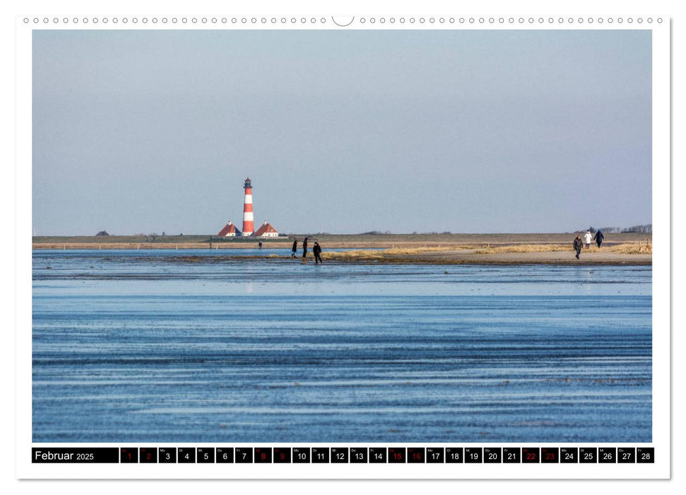 St. Peter-Ording - Natur pur (CALVENDO Wandkalender 2025)