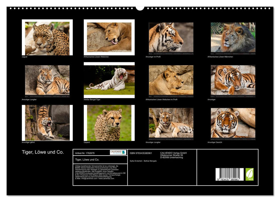 Tiger, Löwe und Co. (CALVENDO Premium Wandkalender 2025)