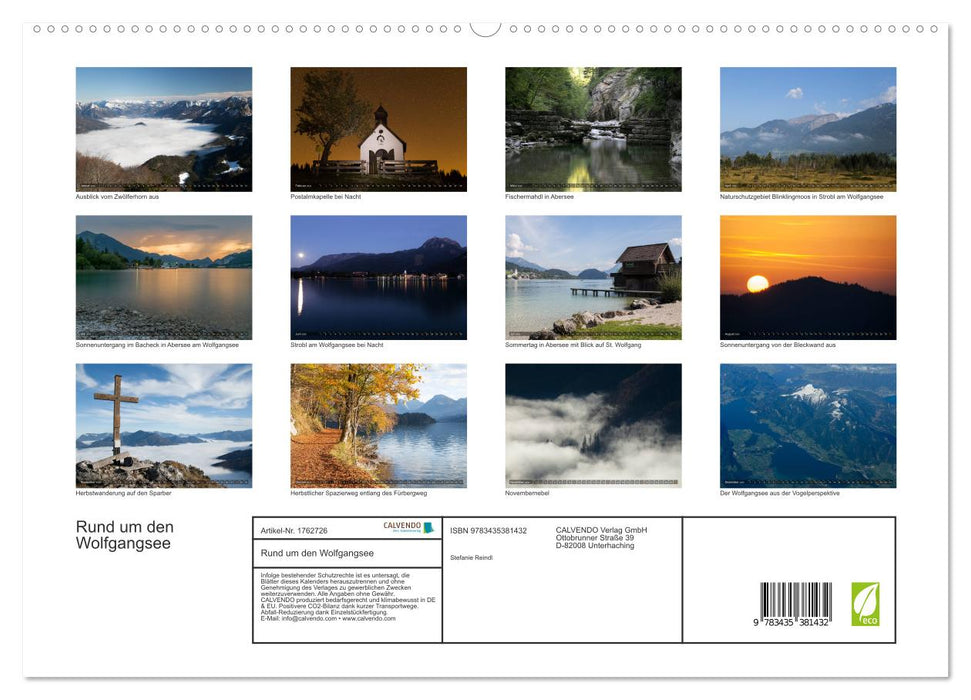 Rund um den Wolfgangsee (CALVENDO Premium Wandkalender 2025)