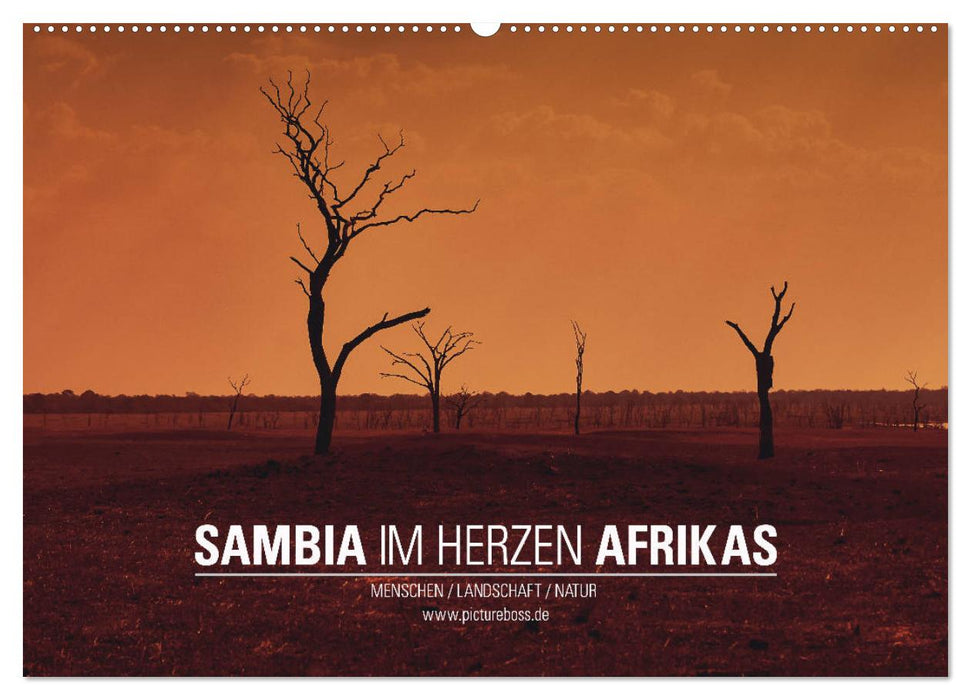 SAMBIA IM HERZEN AFRIKAS (CALVENDO Wandkalender 2025)