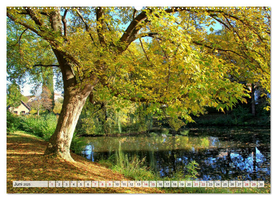 Euskirchen - Ein Trip durch die Kreisstadt am Rande der Eifel (CALVENDO Premium Wandkalender 2025)