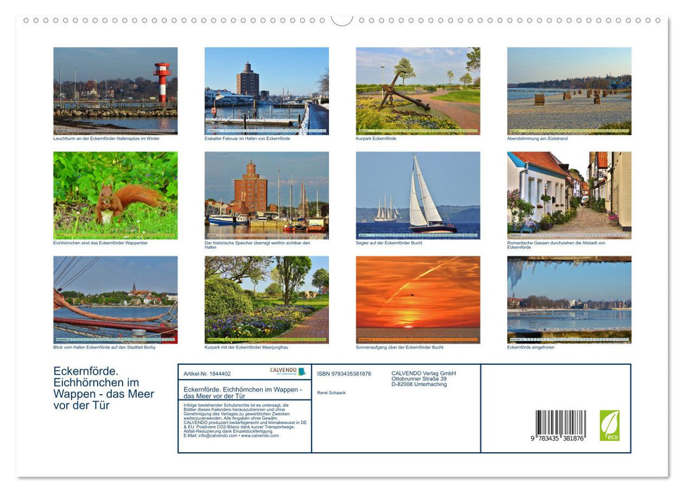 Eckernförde. Eichhörnchen im Wappen - das Meer vor der Tür (CALVENDO Premium Wandkalender 2025)