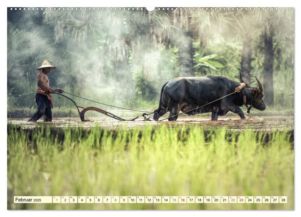 Magisches Asien. Menschen und Natur (CALVENDO Wandkalender 2025)