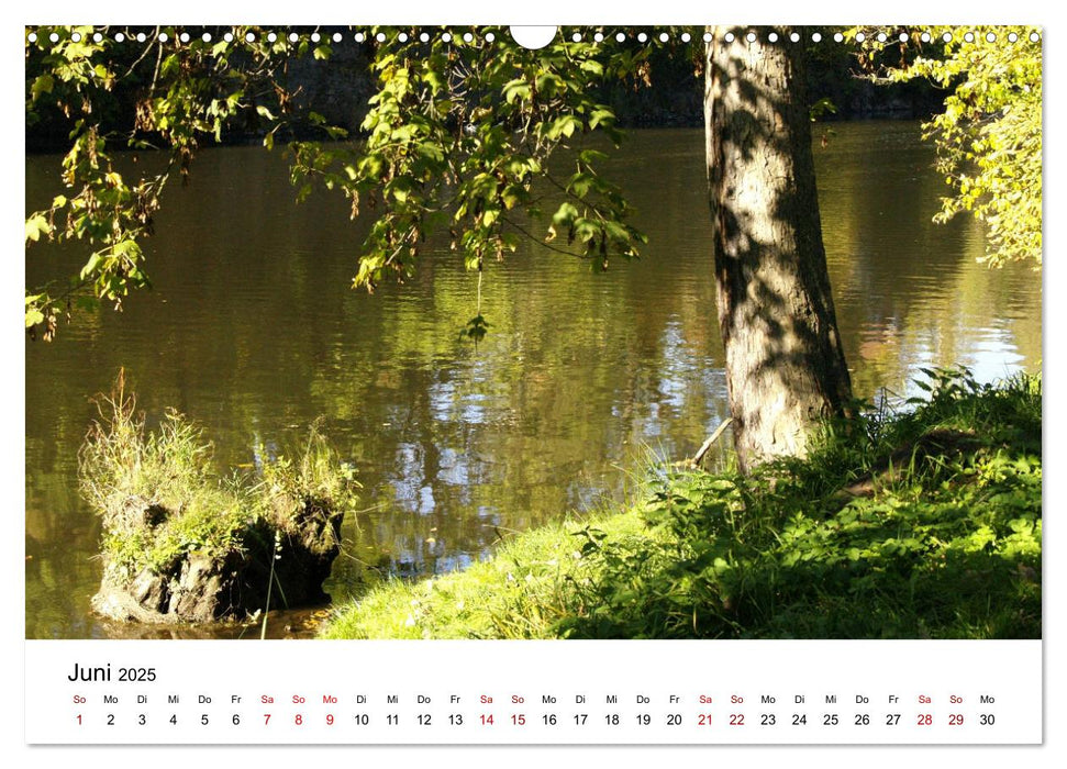 Waldheim (CALVENDO Wandkalender 2025)