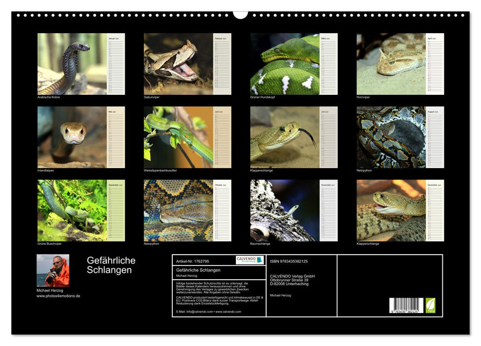 Gefährliche Schlangen (CALVENDO Wandkalender 2025)