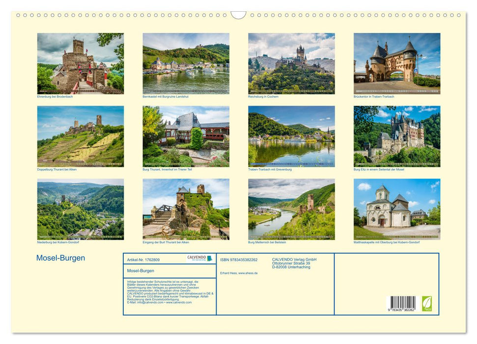 Mosel-Burgen (CALVENDO Wandkalender 2025)