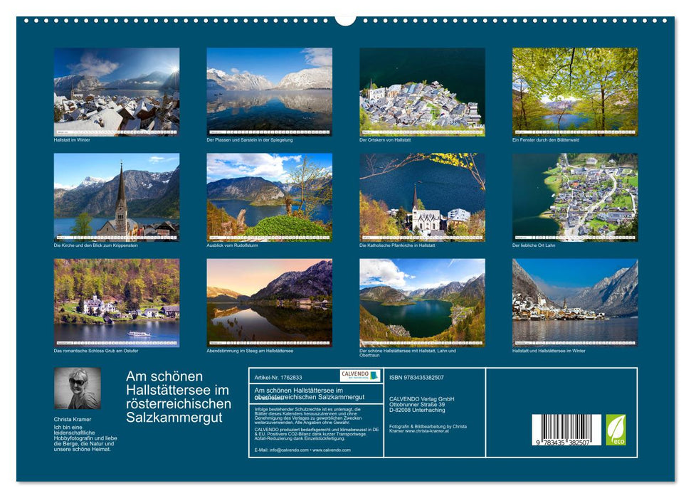 Am schönen Hallstättersee im oberösterreichischen Salzkammergut (CALVENDO Premium Wandkalender 2025)