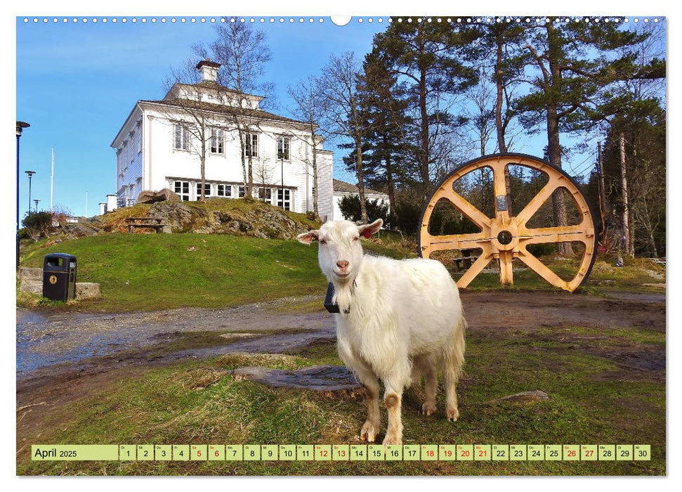 Wunderschönes Bergen. Norwegens Tor zum Fjordland (CALVENDO Wandkalender 2025)