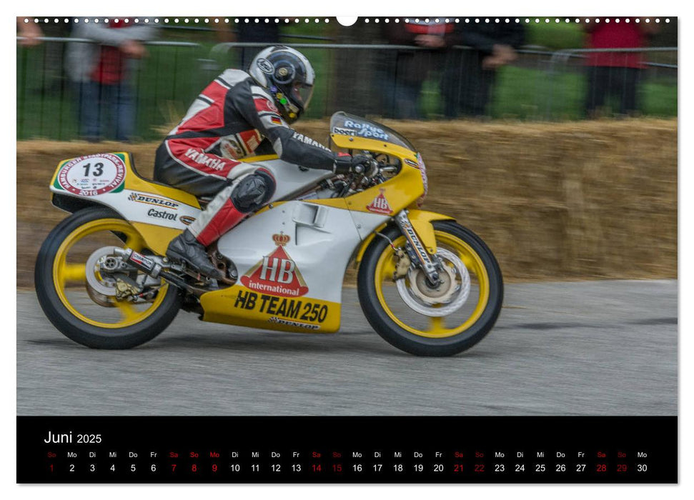 Motorsport Klassiker (CALVENDO Premium Wandkalender 2025)