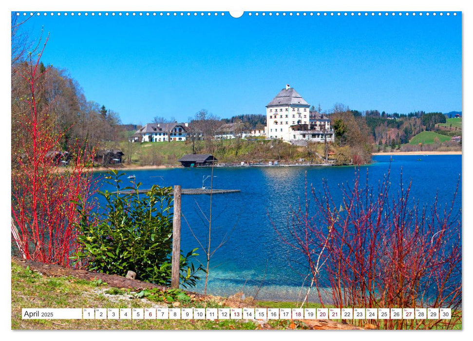 Schau eina in´s Salzkammergut (CALVENDO Premium Wandkalender 2025)