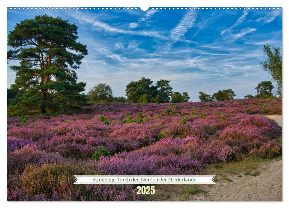 Streifzüge durch den Norden der Niederlande (CALVENDO Wandkalender 2025)