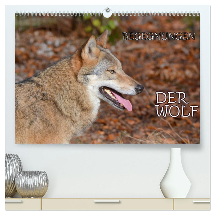 Begegnungen DER WOLF (CALVENDO Premium Wandkalender 2025)