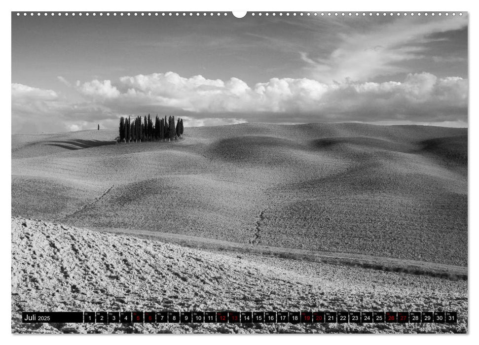 Toscana - monocromatico (CALVENDO Premium Wandkalender 2025)