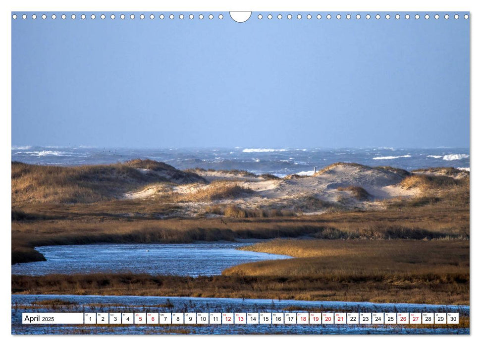 Impressionen aus Sankt Peter-Ording (CALVENDO Wandkalender 2025)