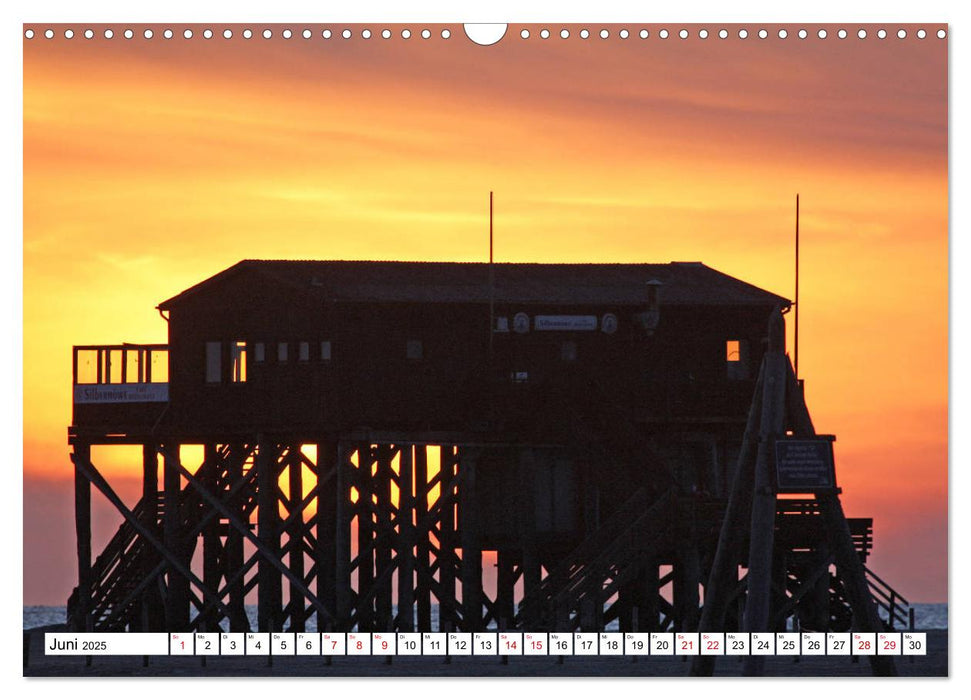 Impressionen aus Sankt Peter-Ording (CALVENDO Wandkalender 2025)