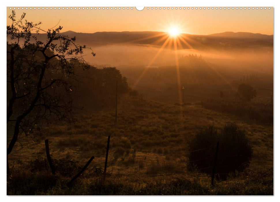 Traumblicke Toskana - Licht, Land, Leben (CALVENDO Premium Wandkalender 2025)