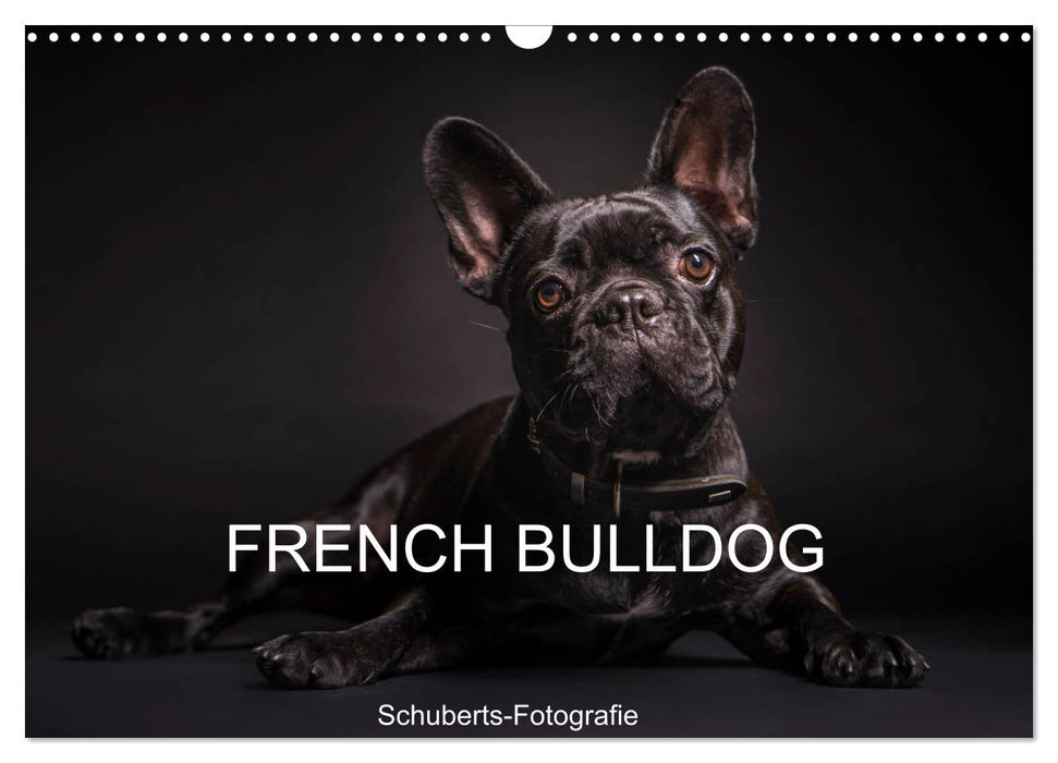 French Bulldog (CALVENDO Wandkalender 2025)