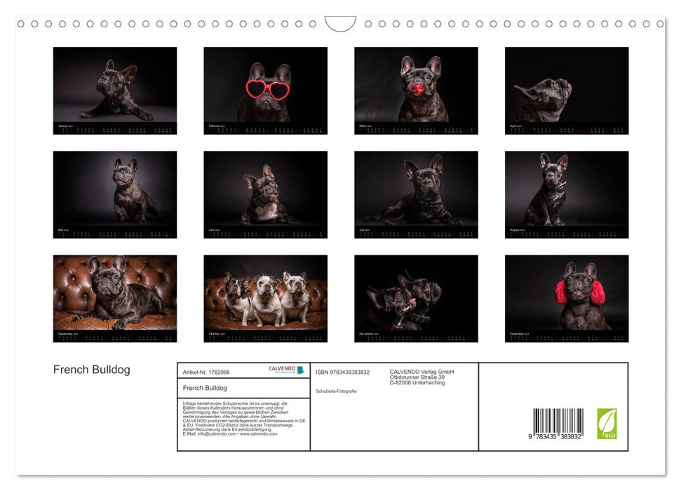 French Bulldog (CALVENDO Wandkalender 2025)