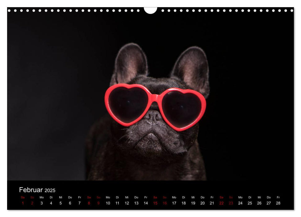 French Bulldog (CALVENDO Wandkalender 2025)