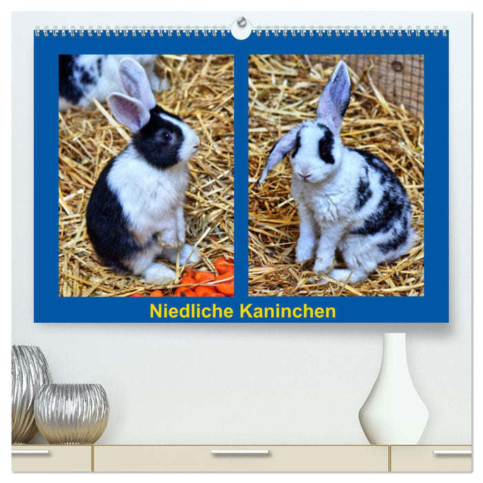 Niedliche Kaninchen (CALVENDO Premium Wandkalender 2025)