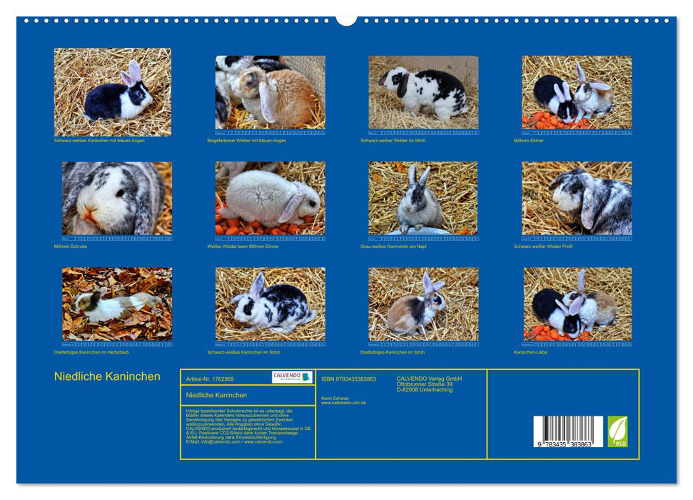 Niedliche Kaninchen (CALVENDO Premium Wandkalender 2025)